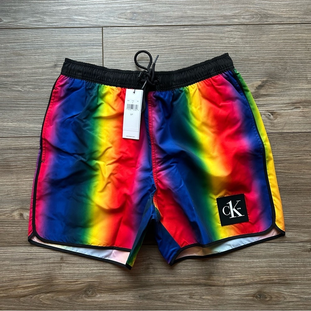Calvin Klein | Festival Swim Shorts in Silver Cloud Aluminum Rainbow (Small) - Picture 4 of 8
